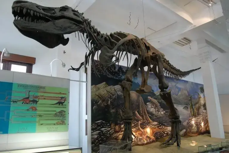 Study tour ke museum Geologi Bandung.