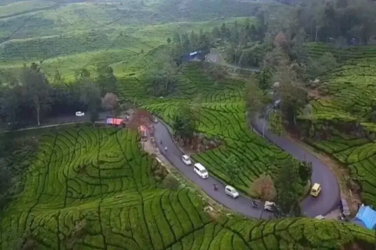 Perkebunan Teh Rancabali