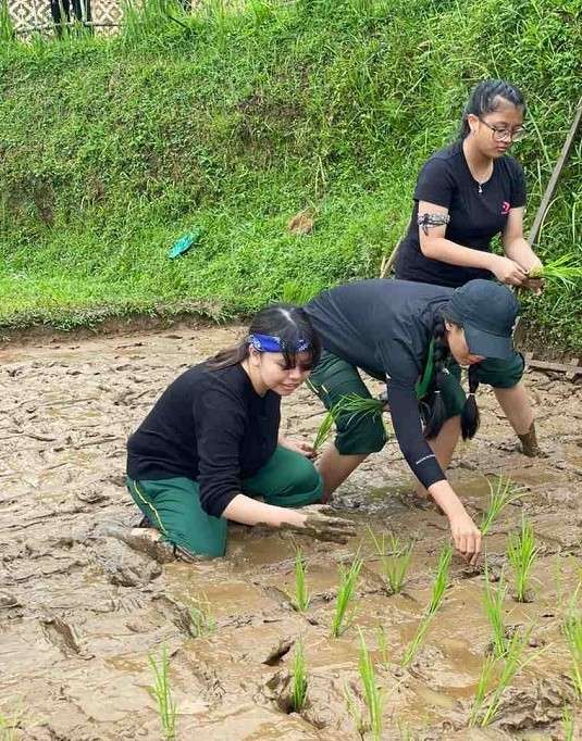 Kegiatan menanam padi di paket live in di kampung wisata Parakanceuri.