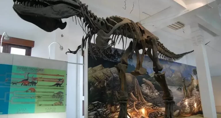 Study tour ke museum Geologi Bandung.